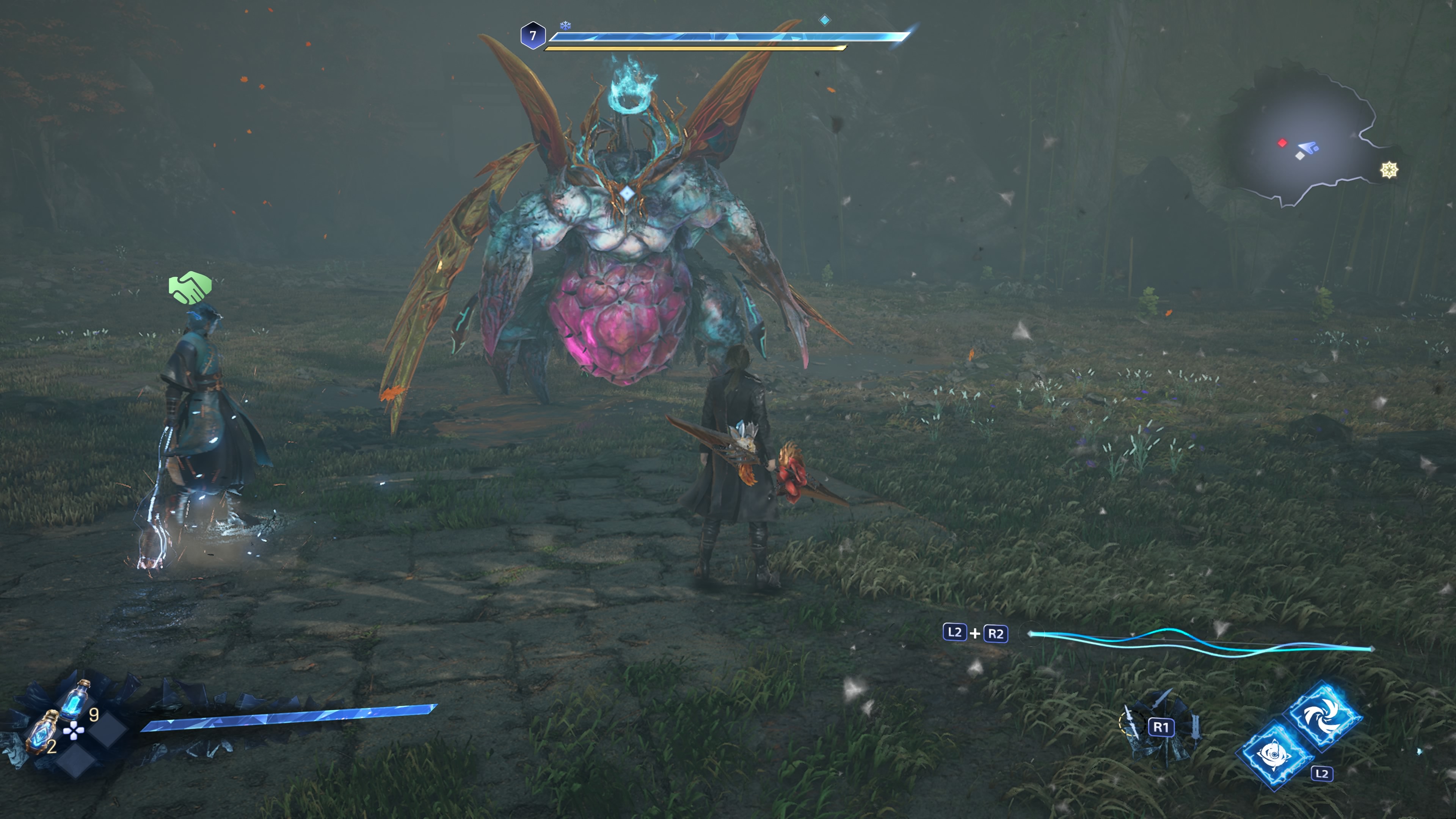 Picture of rider with a stone